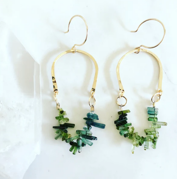 Nav Envy Earrings