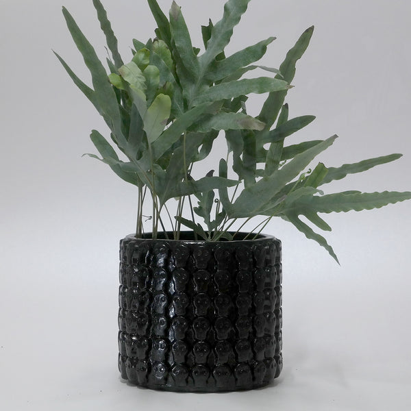 PF Maceta Plant Pot - Medium